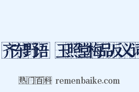 齐东野语·玉照堂梅品反义词是什么意思的图片